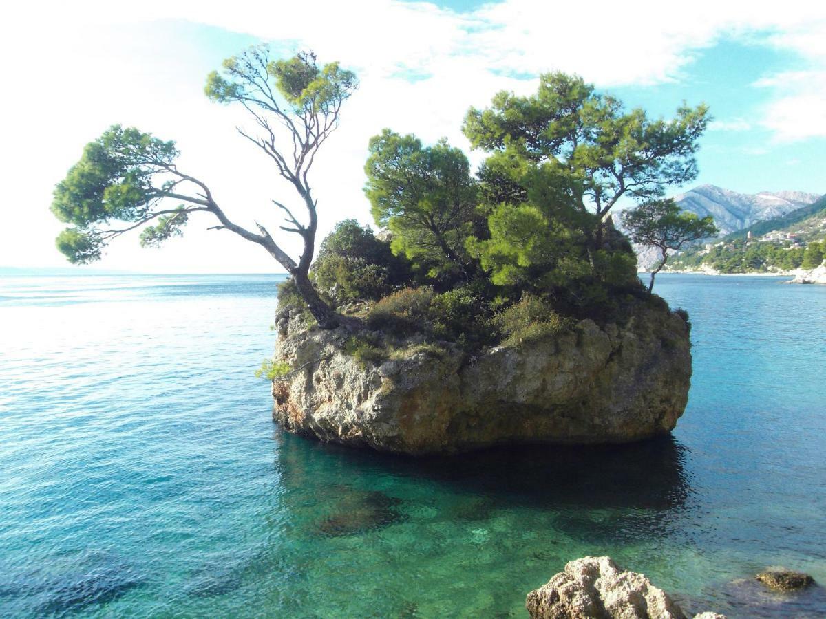 Maison Brelavista Dış mekan fotoğraf